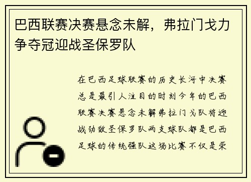 巴西联赛决赛悬念未解，弗拉门戈力争夺冠迎战圣保罗队